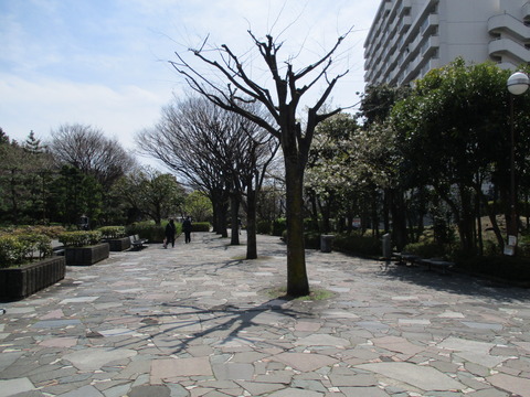 90-2清新町緑道1