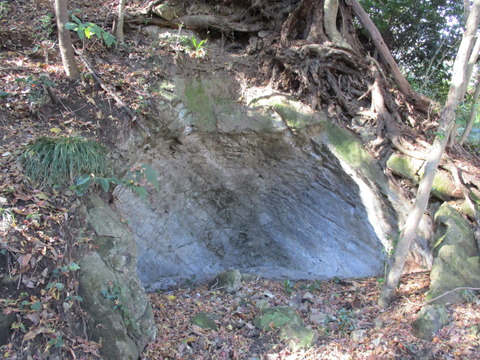84横穴古墳群2