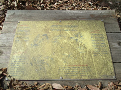 14日光橋公園7