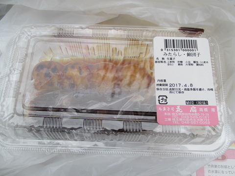 96熊谷桜堤2