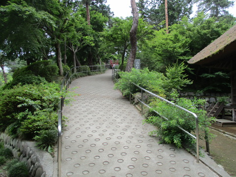 143塩船平和観音表参道