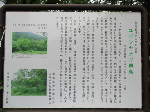 35新道入口4
