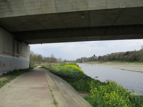 179観晃橋4