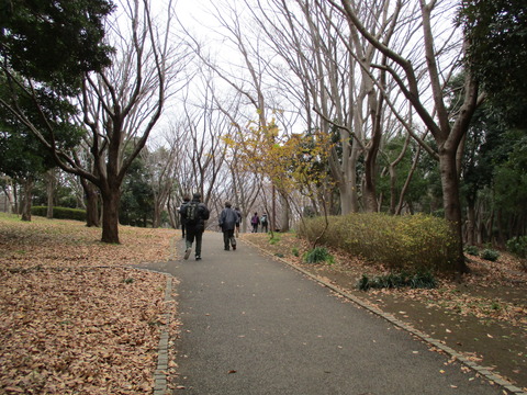 12中央公園3