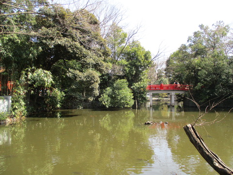 38宗像神社3
