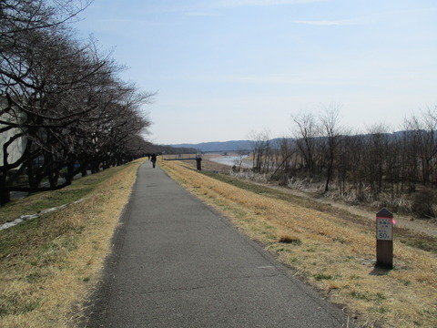 134多摩川河川敷2