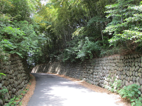 115竹林2