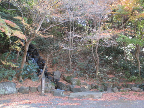 73もみじの広場
