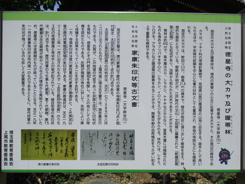 118徳星寺2