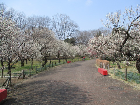 127府中市郷土の森博物館7