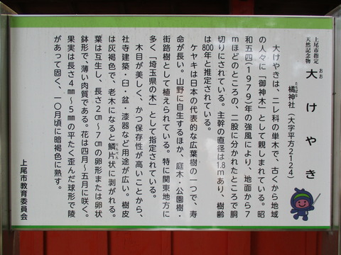 53橘神社10