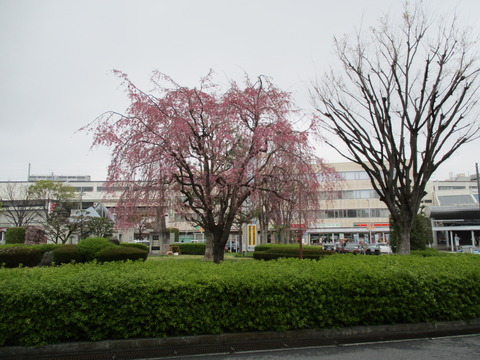 142熊谷駅ゴール