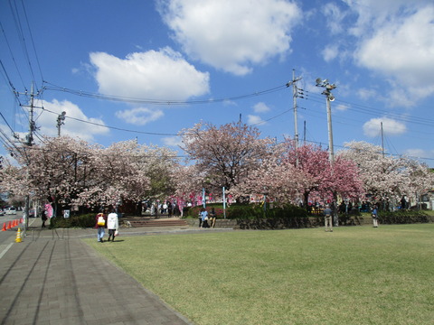 48天平の丘公園5