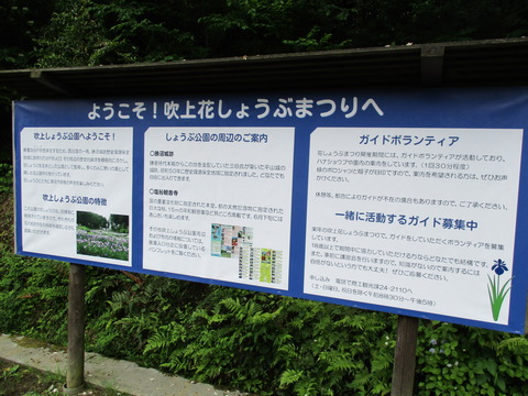 88吹上しょうぶ公園10