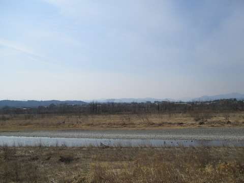 137多摩川河川敷5