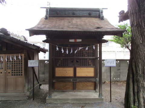 31八雲社1