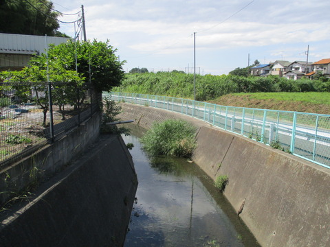 207寺下橋3