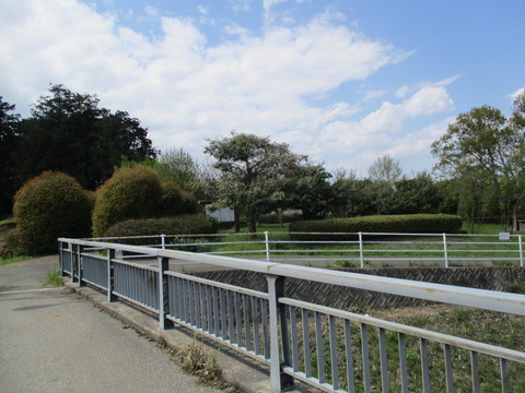 169蔓巻公園1