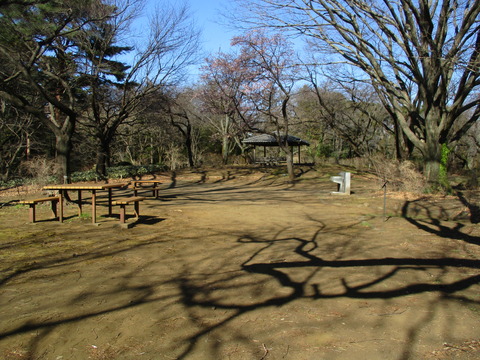 147公園内6