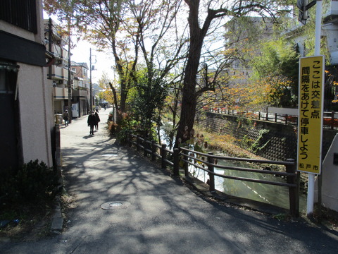 107再び坂川沿い