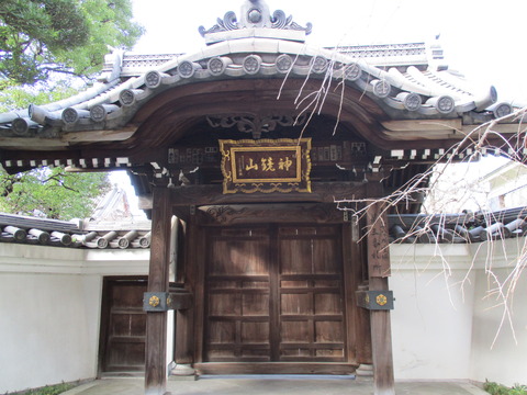 223金蔵院3
