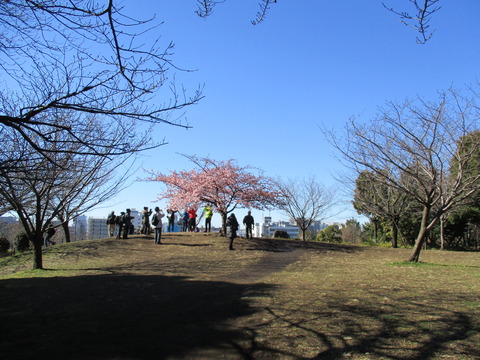09西郷山公園2