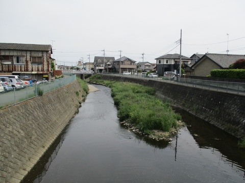 12つばき橋3
