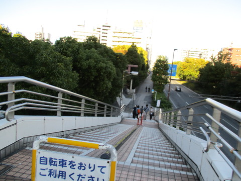 111歩道橋3