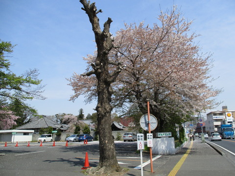 69須賀神社会館1