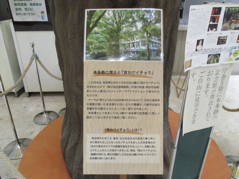 83本多静六記念館7