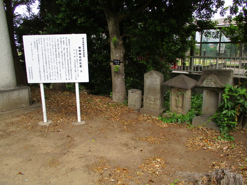 185神明神社2