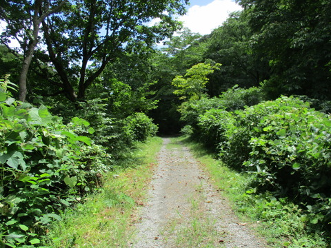 185湯檜曽川沿い1