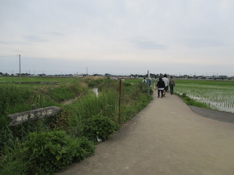 98水路沿い1