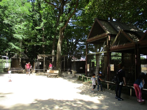 186小動物コーナー2