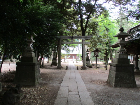 191鳥居