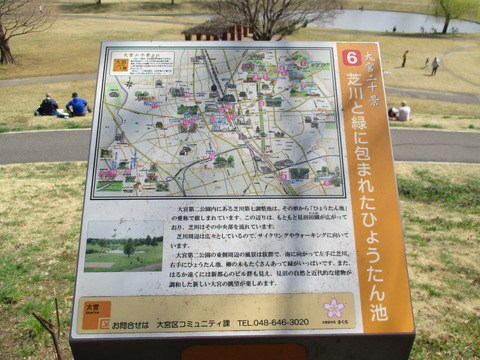 92桜並木5