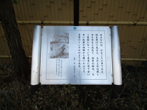 205公園2