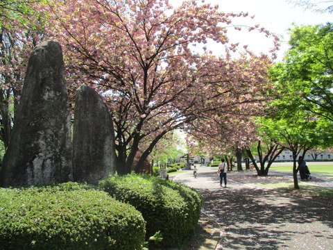115子持ふれあい公園2