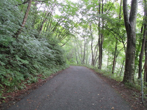 71平坦な道1