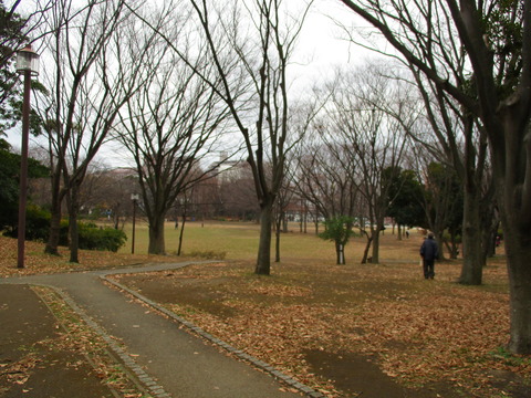 13中央公園4