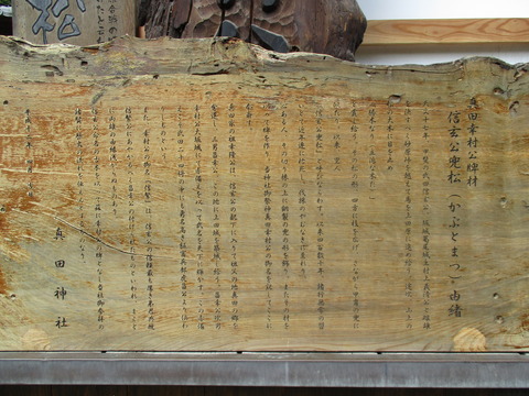185本殿側3