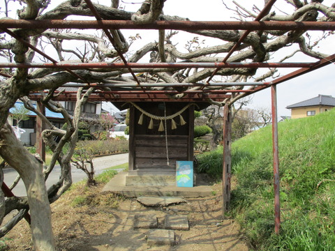 152土手4