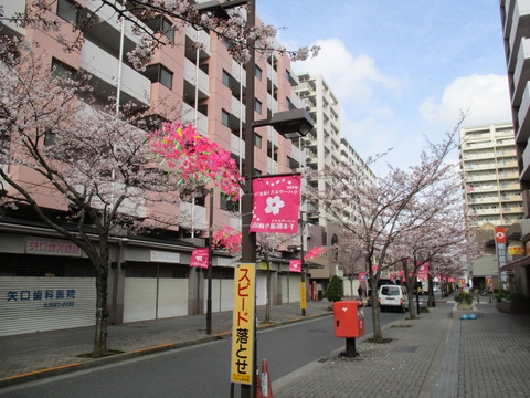 05千本桜通り商店会2