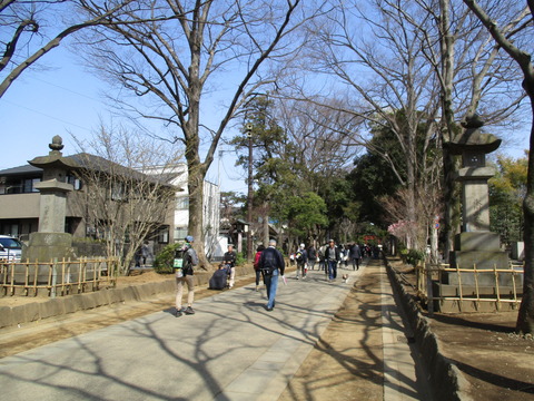 15-2氷川参道5