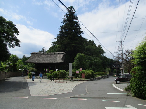 196再び正面