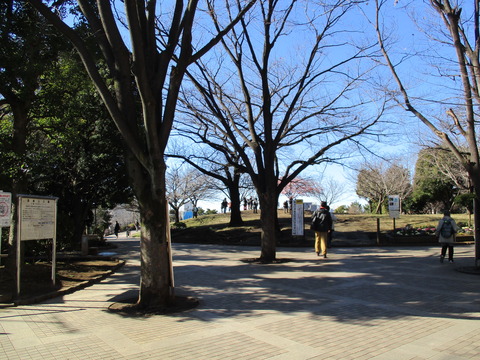 08西郷山公園1