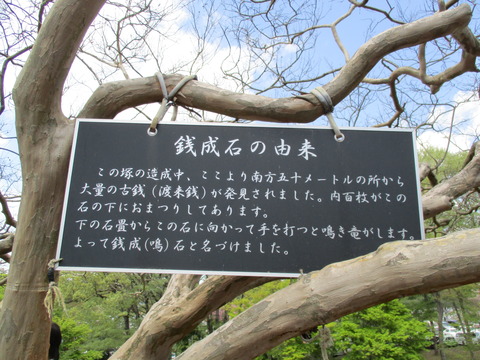 128国見山5