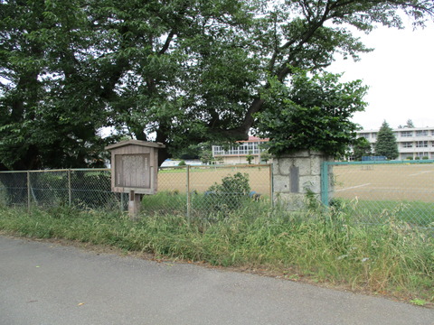 164栢間小学校1