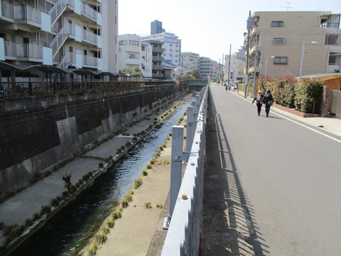 123善福寺川