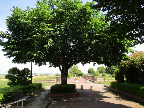 53あかね橋1